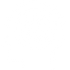 brain